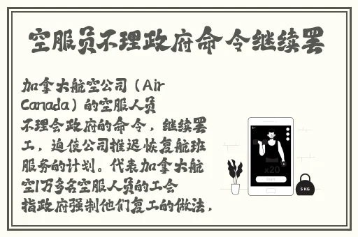 99久热只有精品视频在线